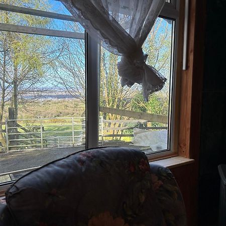 Cozy Room In A Barn With Farm View Dublin Dış mekan fotoğraf
