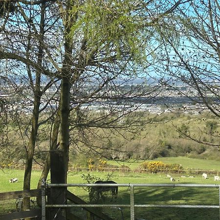 Cozy Room In A Barn With Farm View Dublin Dış mekan fotoğraf