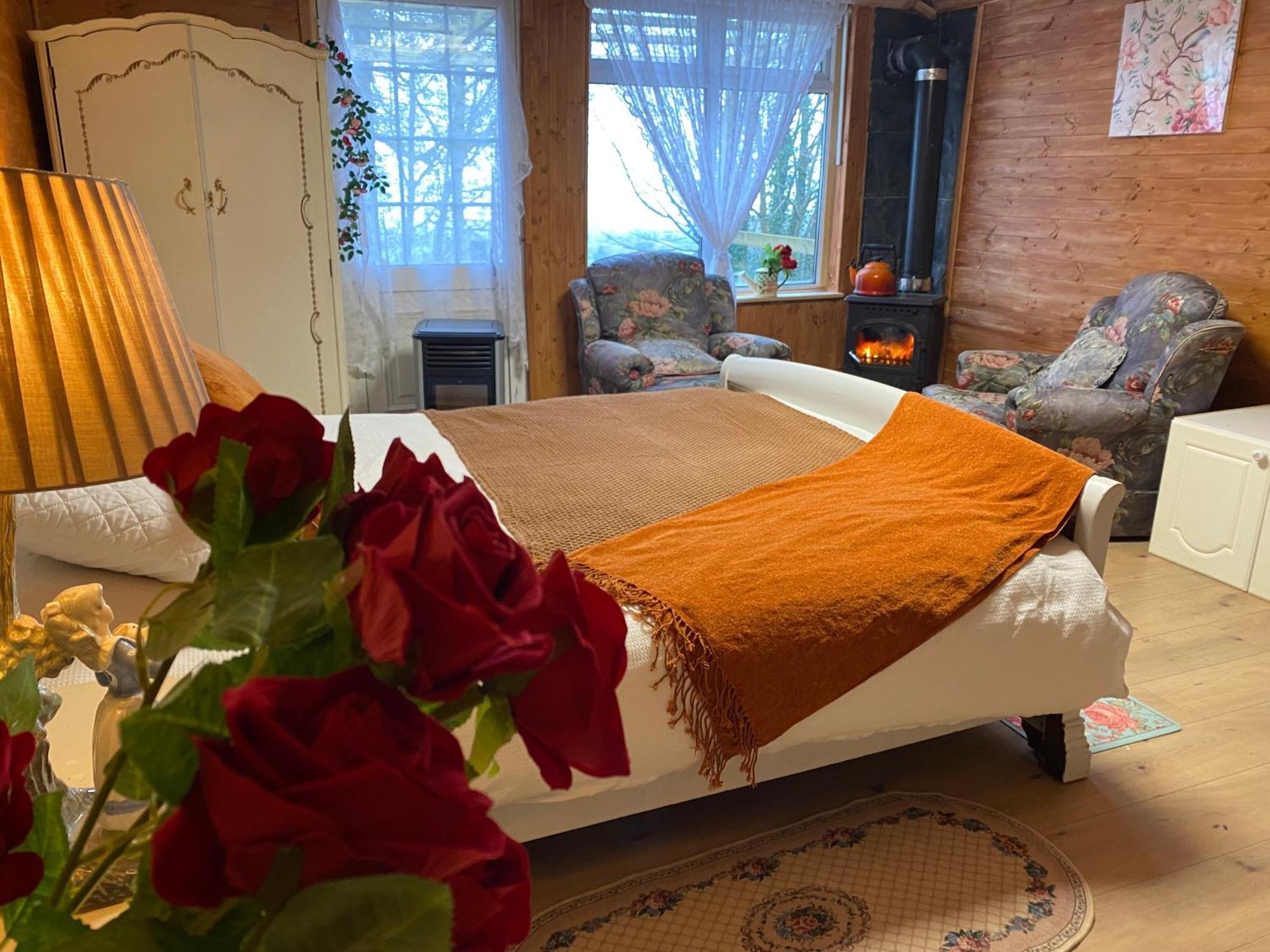 Cozy Room In A Barn With Farm View Dublin Dış mekan fotoğraf