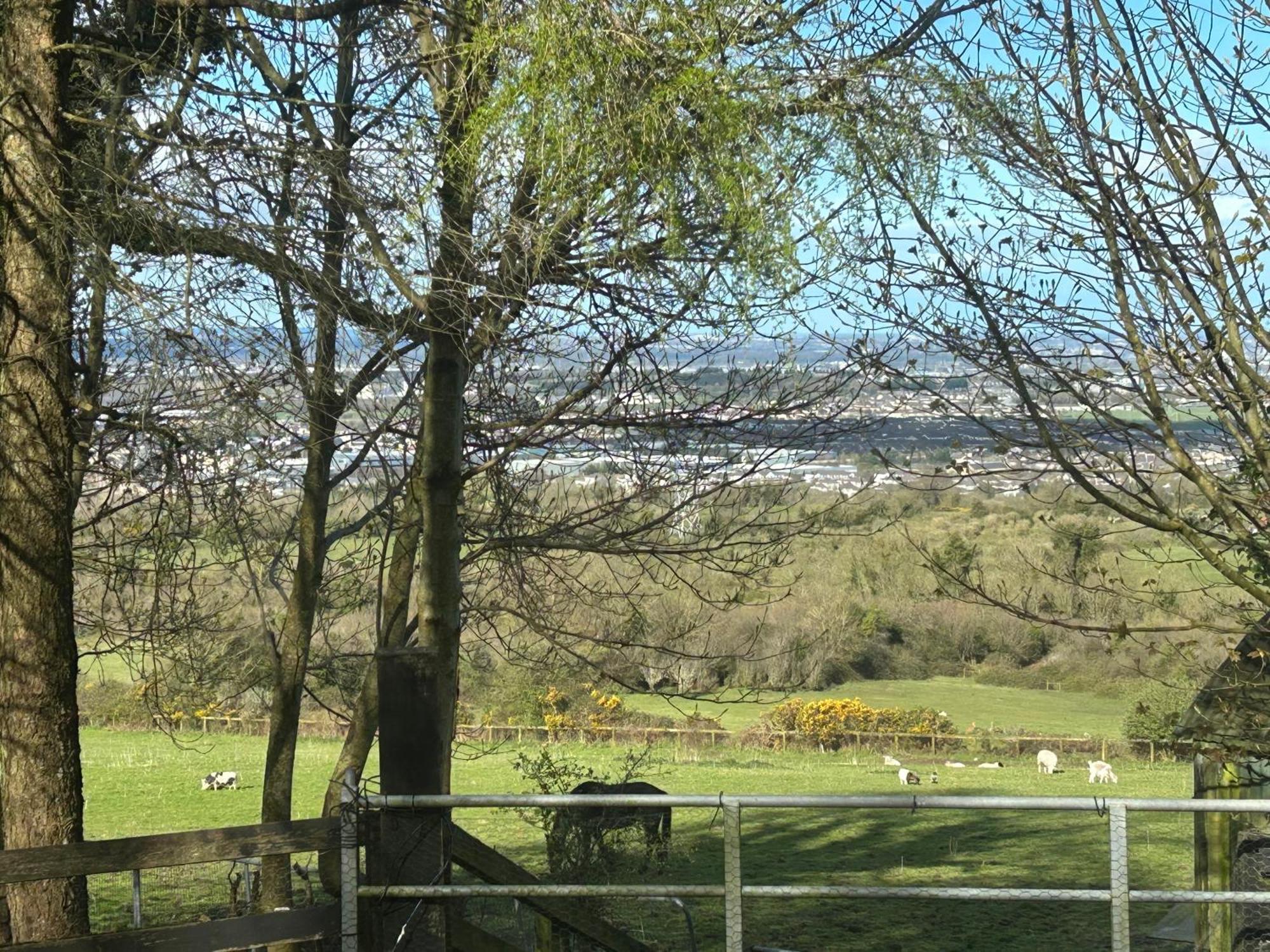 Cozy Room In A Barn With Farm View Dublin Dış mekan fotoğraf